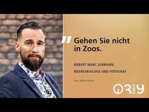 Wieso man NICHT in Zoos gehen sollte lyteCache.php?origThumbUrl=https%3A%2F%2Fi.ytimg.com%2Fvi%2Fx-bdL3ajKL0%2F0 