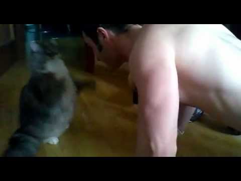 Personal Trainer Cat lyteCache.php?origThumbUrl=https%3A%2F%2Fi.ytimg.com%2Fvi%2FyPIQwOyx7jQ%2F0 