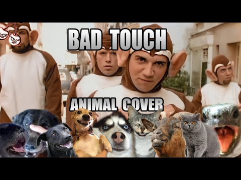 "The Bad Touch" Animal Sound Cover (Blood Hound Gang) lyteCache.php?origThumbUrl=https%3A%2F%2Fi.ytimg.com%2Fvi%2FyjGEQoFwZ7Y%2F0 