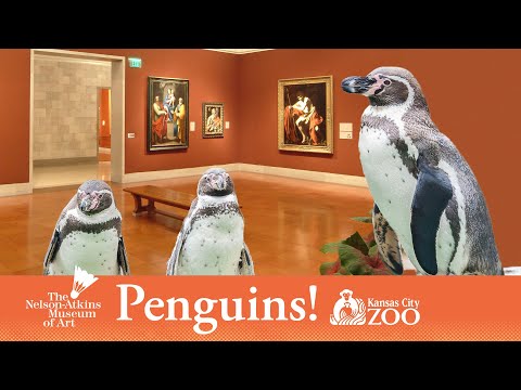 Nur ein paar Pinguine, die durch ein Museum laufen lyteCache.php?origThumbUrl=https%3A%2F%2Fi.ytimg.com%2Fvi%2FzOqUoo96ssQ%2F0 