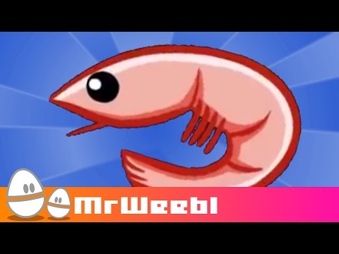 WTF? Shrimp Glockenspiel lyteCache.php?origThumbUrl=https%3A%2F%2Fi.ytimg.com%2Fvi%2FzUqQt8mD99c%2F0 