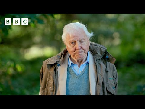 KI mit David-Attenborough-Stimme beschreibt dein Leben lyteCache.php?origThumbUrl=https%3A%2F%2Fi.ytimg.com%2Fvi%2Fz_9FtFwckrs%2F0 