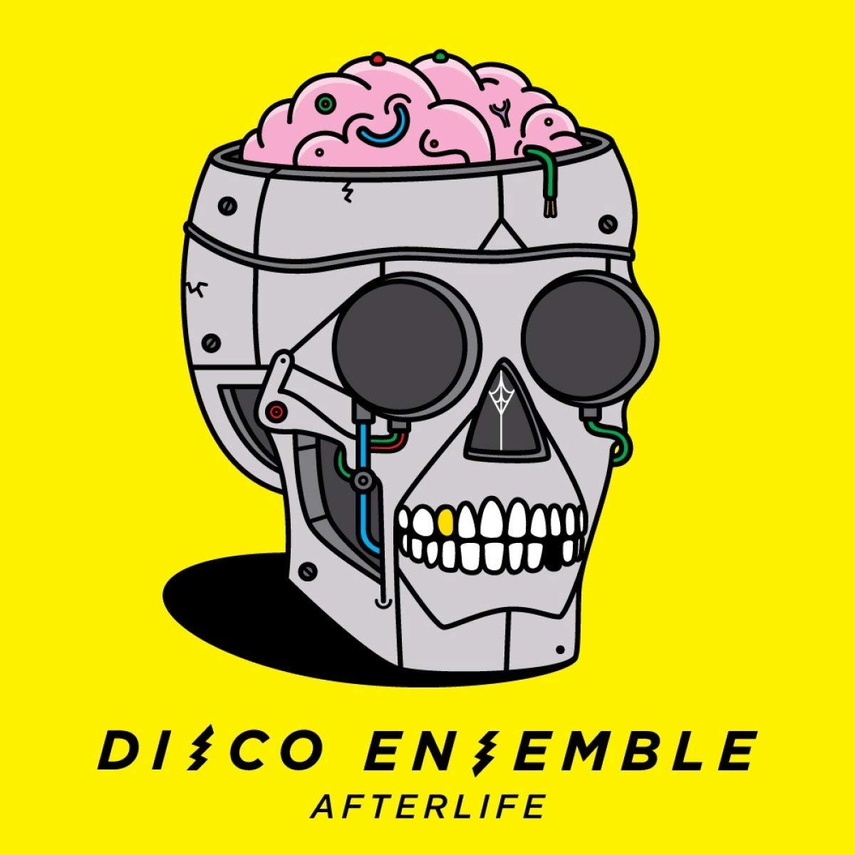 Review: Disco Ensemble – Afterlife