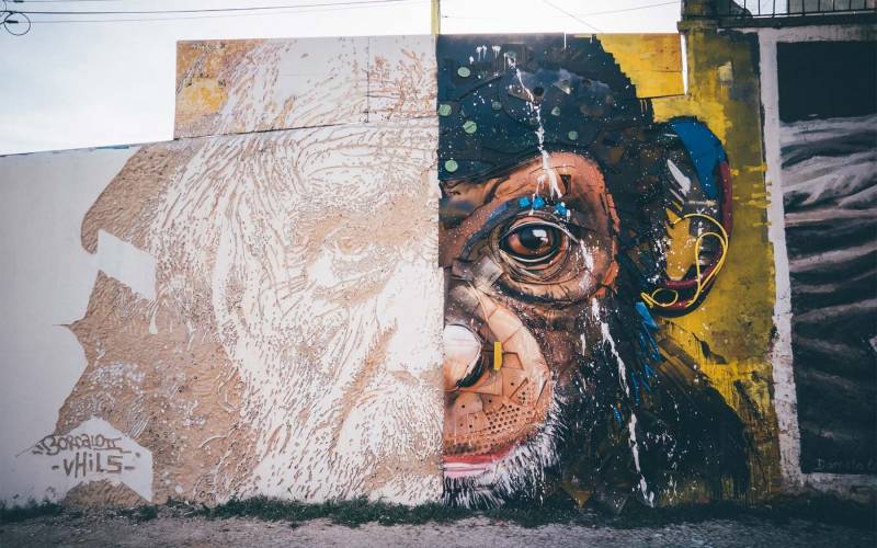 Street Art: Gemeinsames Mural von Vhils & Bordalo II