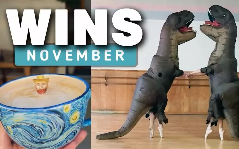 WIN Compilation November 2024