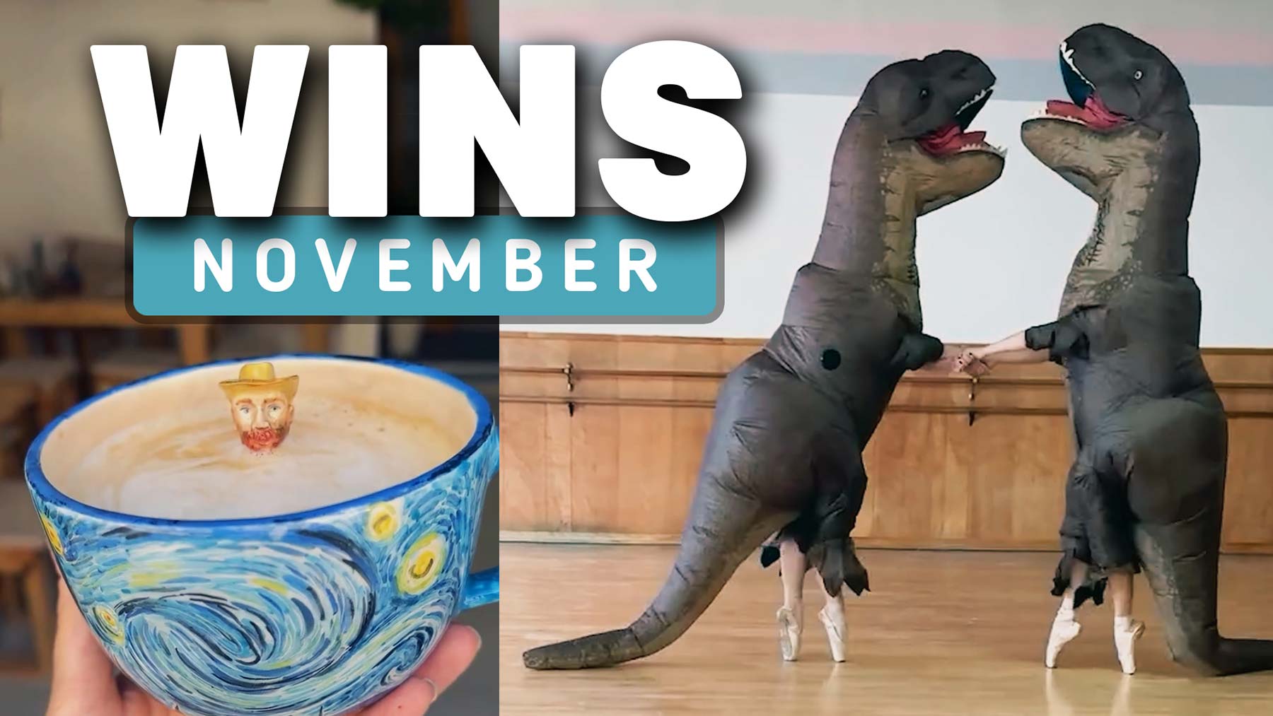 WIN Compilation November 2024