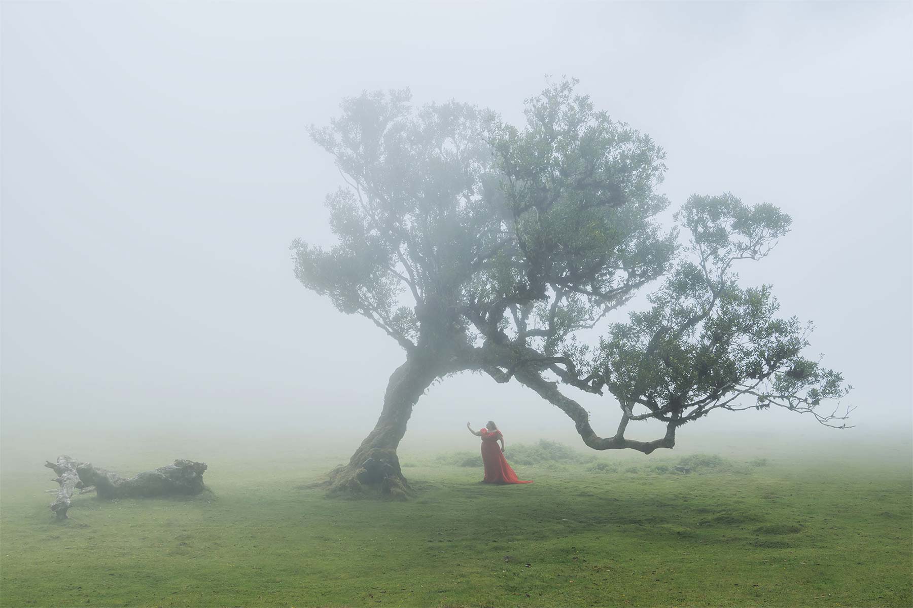 Fotografien von Jennifer Esseiva